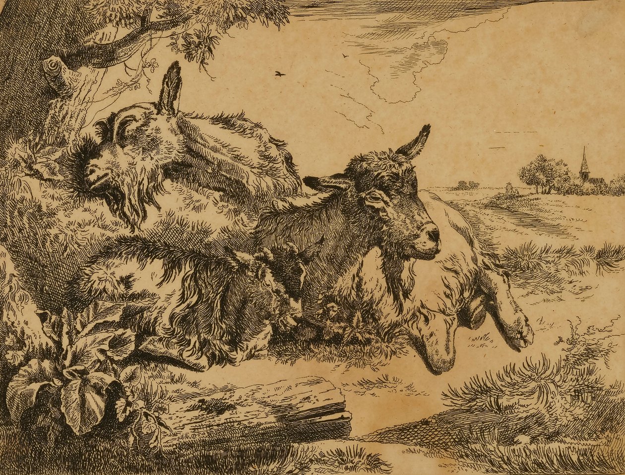 Dos cabras y un cabrito de Johann Heinrich Roos