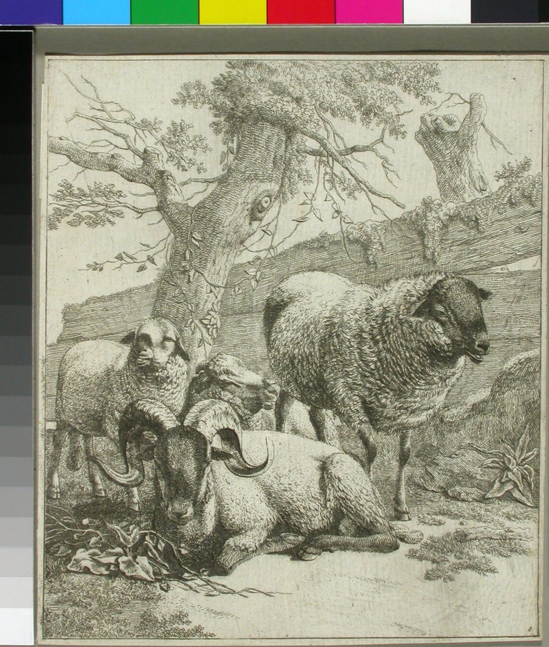 Ohne Titel de Johann Heinrich Roos