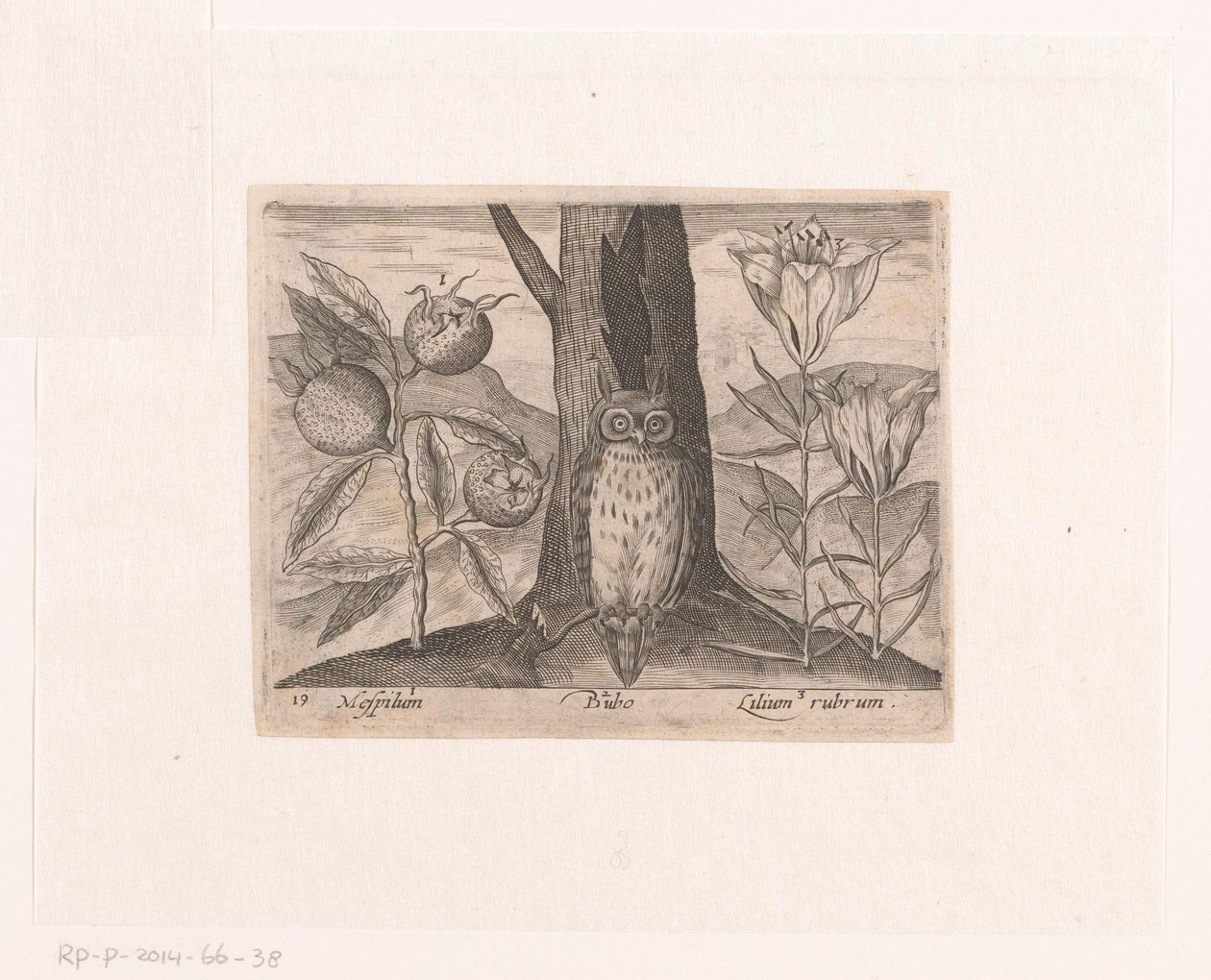 Serie de Estampas con Flores y Animales en un Paisaje Paisaje con níspero, lirio y búho Paisajes con animales, plantas y flores (título de serie) de Johann Hogenberg