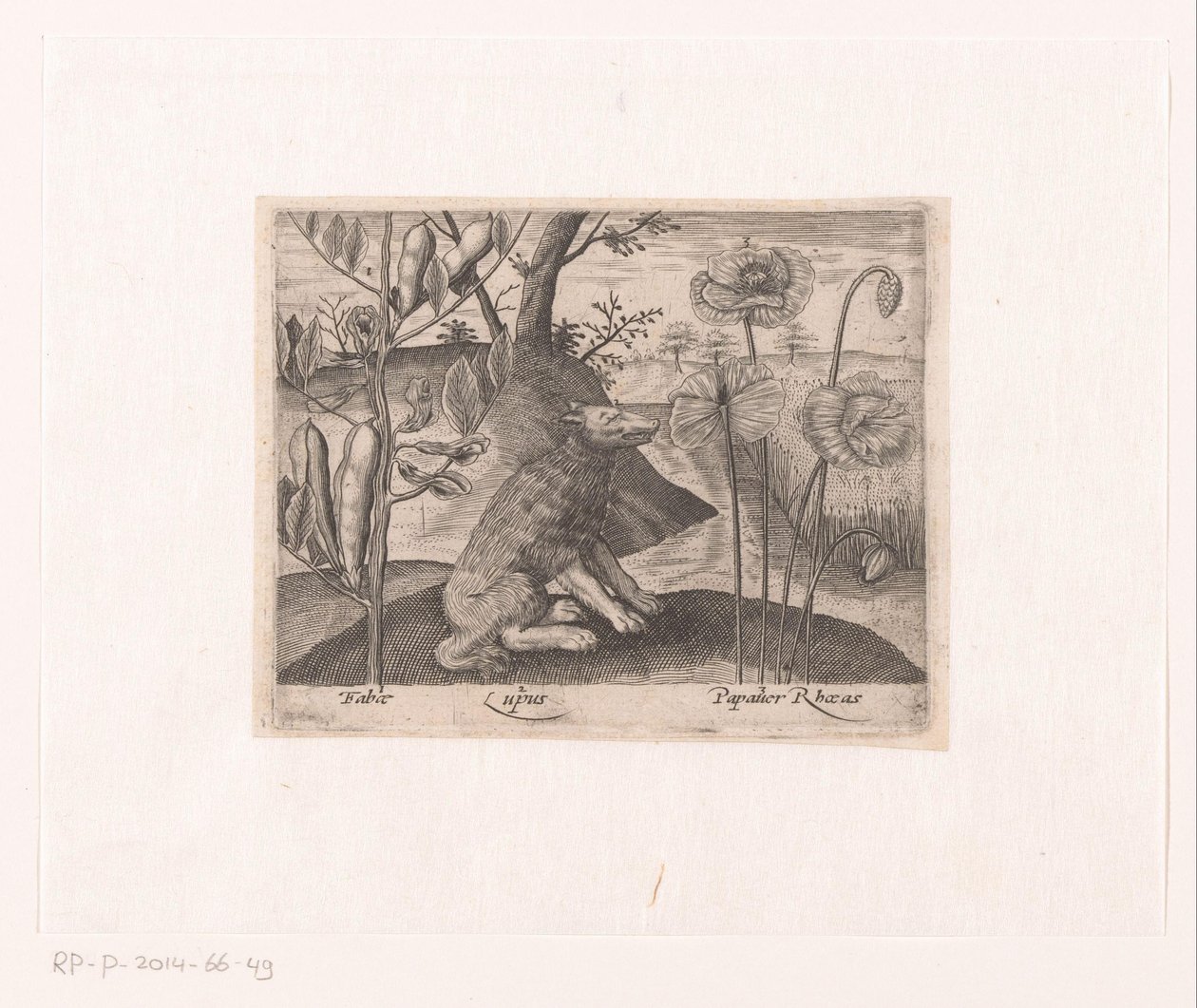 Serie de Estampas con Flores y Animales en un Paisaje Paisaje con lobo y plantas. Paisajes con animales, plantas y flores (título de serie) de Johann Hogenberg