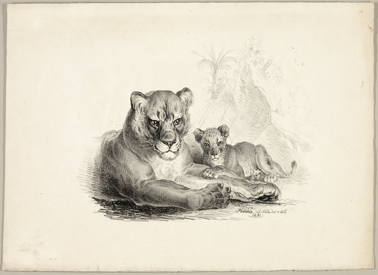 León con cachorros de Johann Höchle