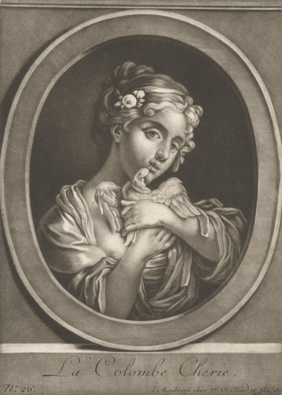 La amada paloma de Johann Jacobus Haid