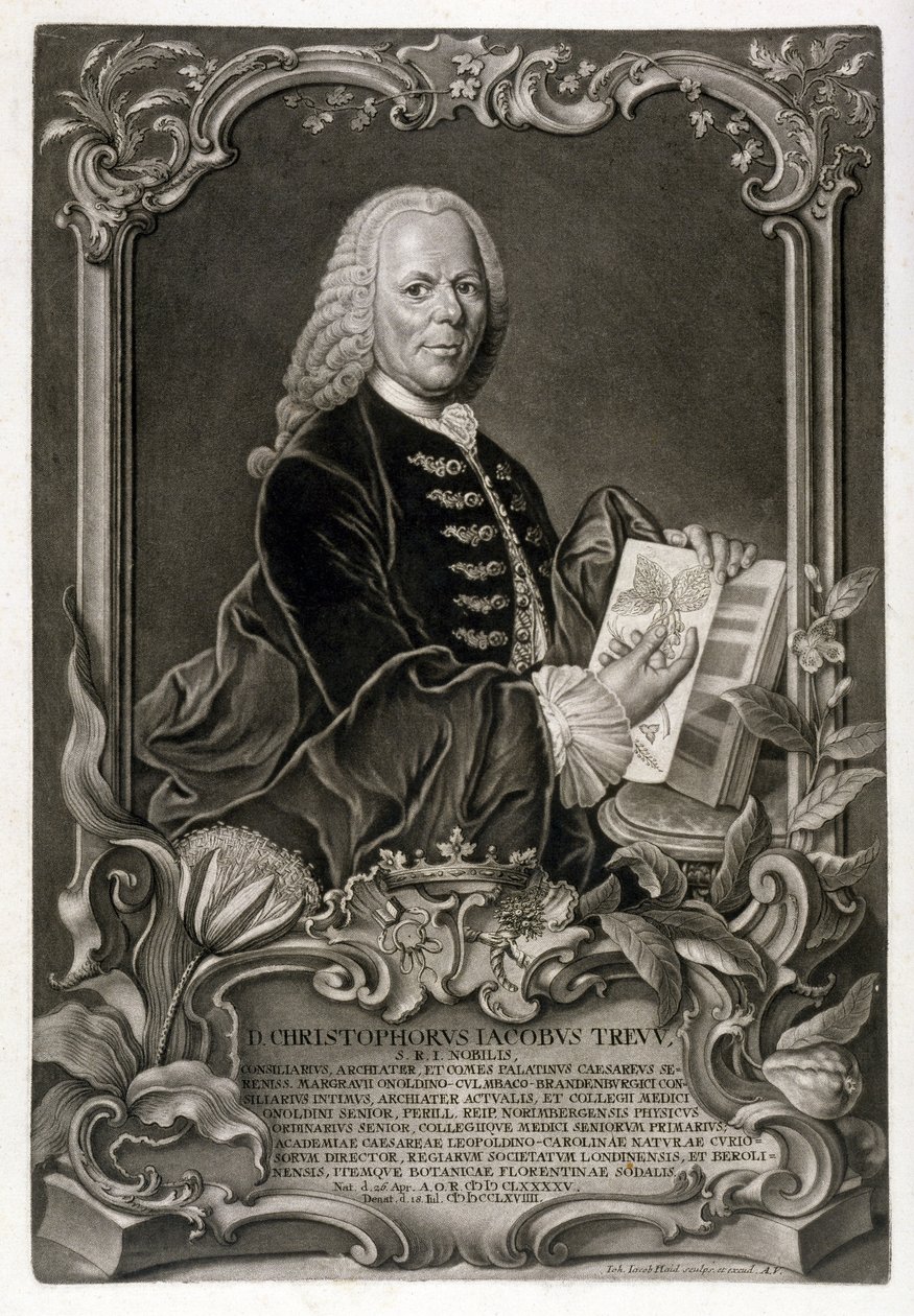 C. J. Trew, botánico, pub. c.1768 de Johann Jakob Haid