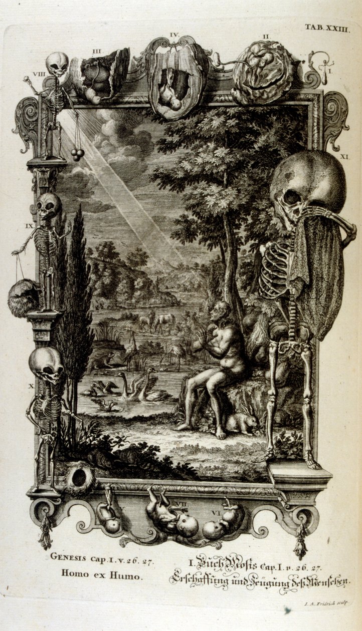 Grabado en cobre de "Physica Sacra" del erudito suizo Johann Jakob Scheuchzer de Johann Jakob Scheuchzer