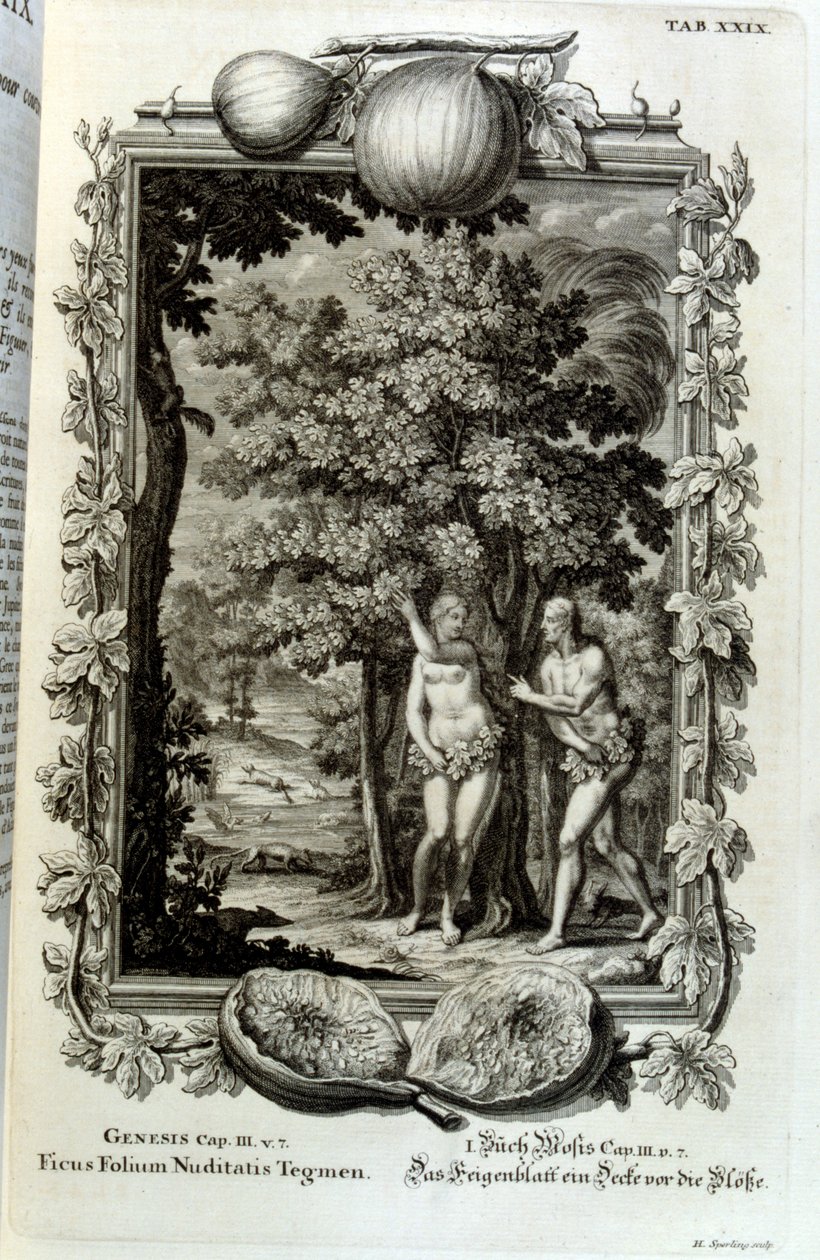 Grabado en cobre de "Physica Sacra" del erudito suizo Johann Jakob Scheuchzer de Johann Jakob Scheuchzer