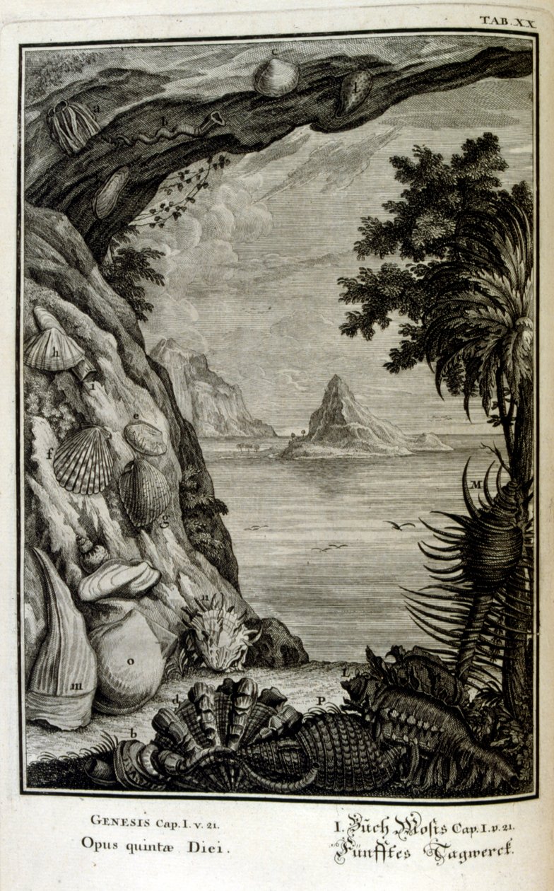 Grabado en cobre de "Physica Sacra" del erudito suizo Johann Jakob Scheuchzer de Johann Jakob Scheuchzer
