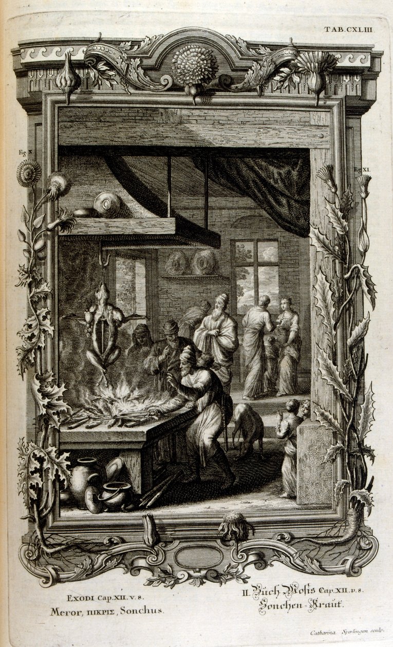 Ilustración de Physique sacree, ou Histoire-naturelle de la Bible de Johann Jakob Scheuchzer