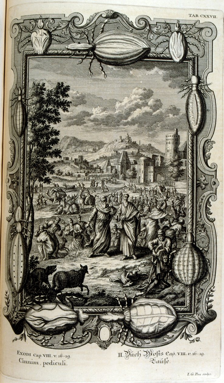 Plaga de piojos y mosquitos de Johann Jakob Scheuchzer