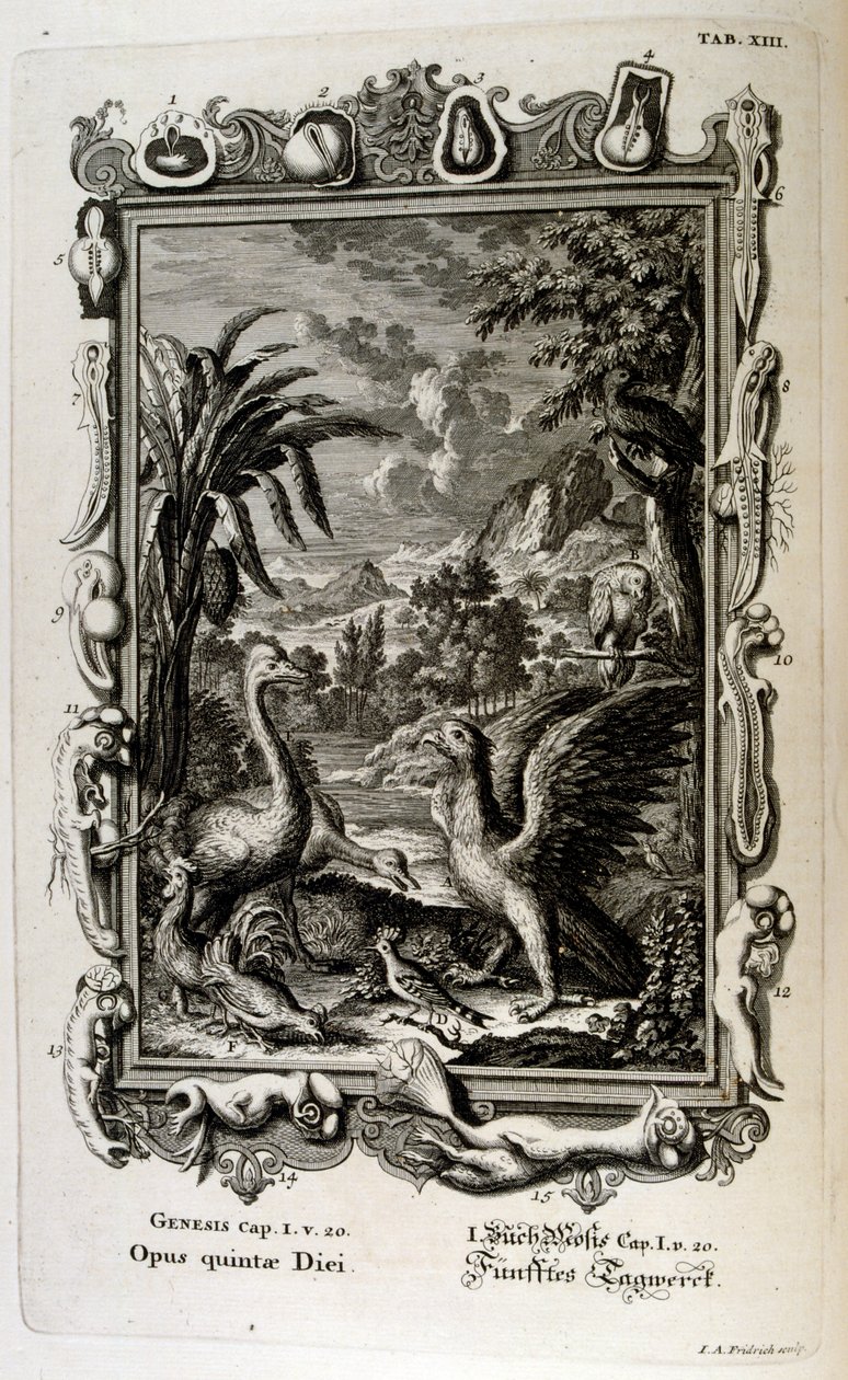 El relato de la creación del Génesis es el mito de la creación tanto del judaísmo como del cristianismo. El quinto día de la creación: Se crean los animales de Johann Jakob Scheuchzer