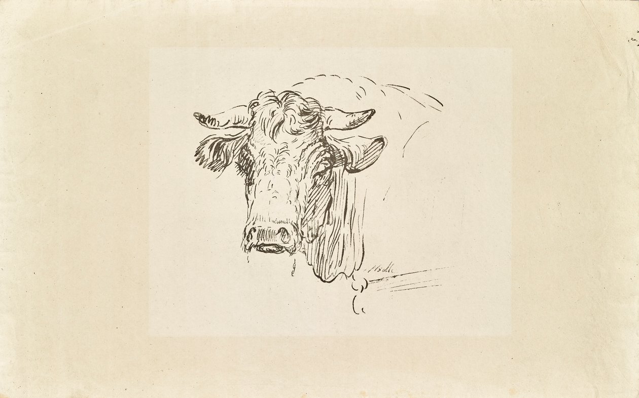 cabeza de toro de Johann Josef Schindler
