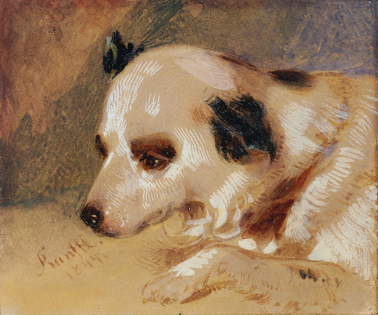 cabeza de perro de Johann Matthias Ranftl