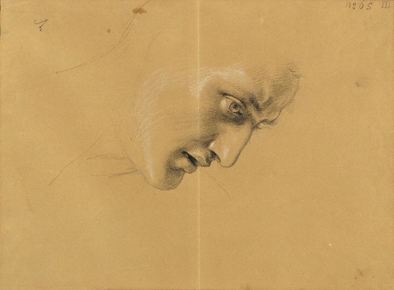 estudio de cabeza de Johann Peter Krafft
