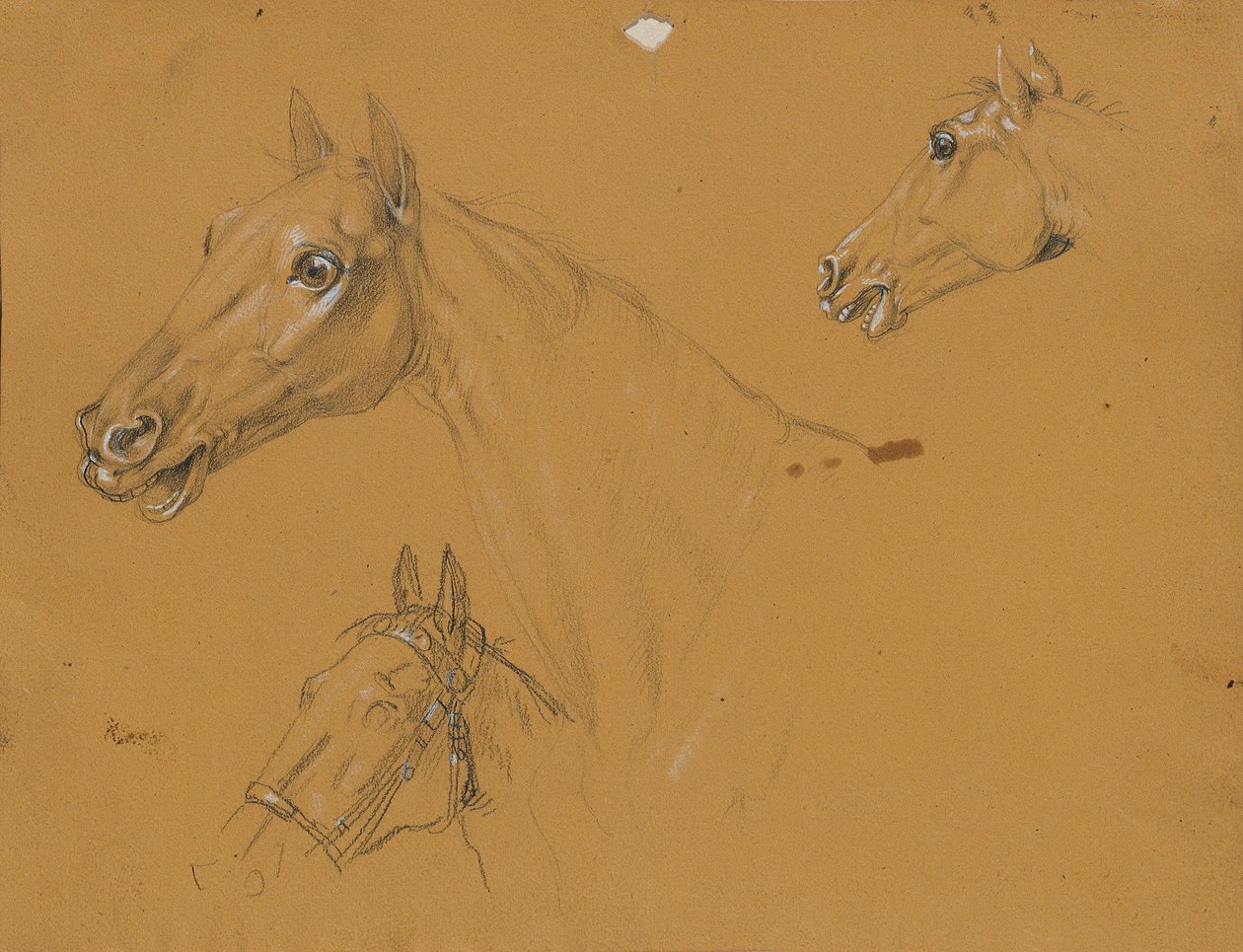 Estudio de caballos para "Archiduque Karl con su personal en la batalla de Aspern" de Johann Peter Krafft