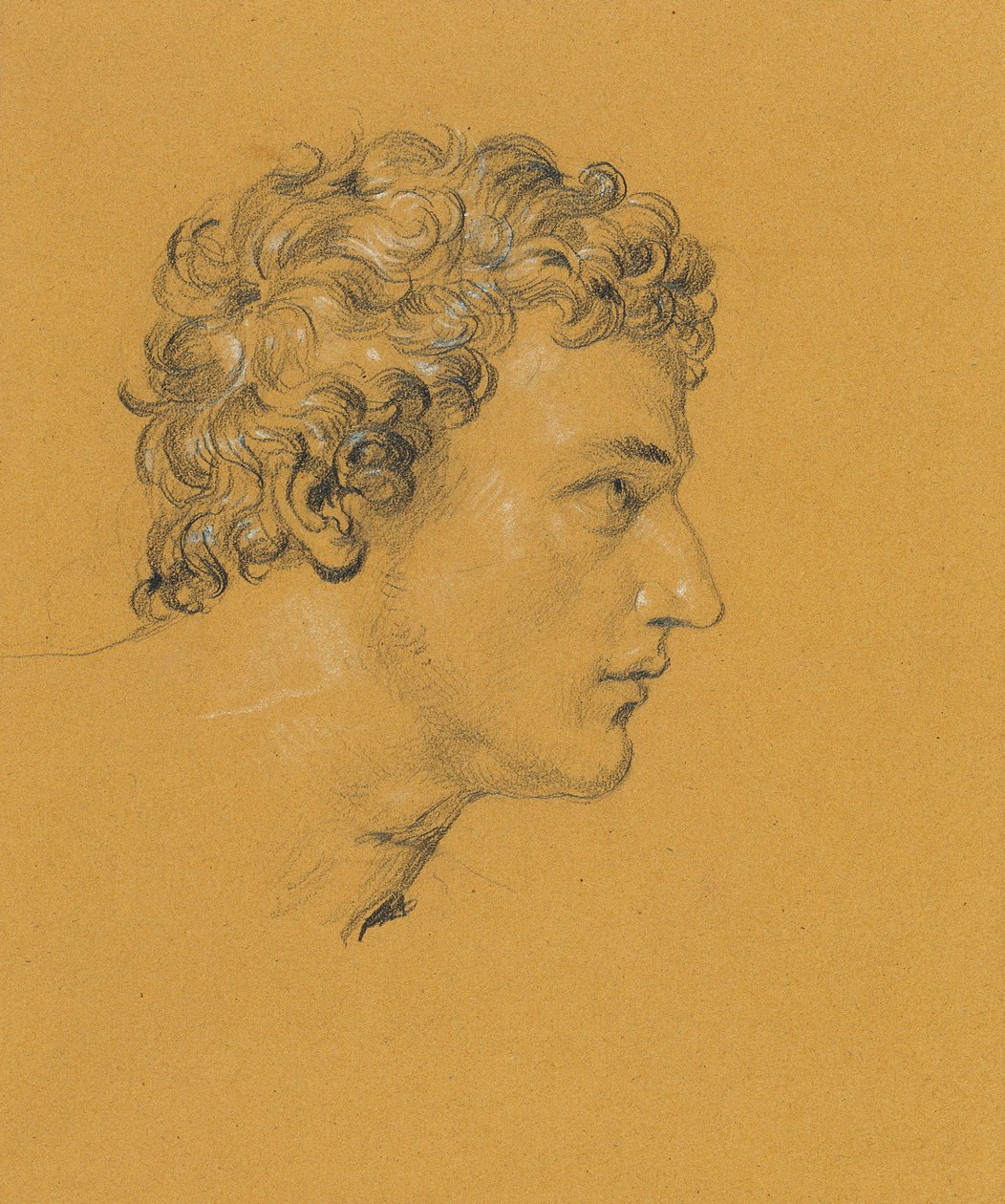 Estudio de una cabeza de Johann Peter Krafft