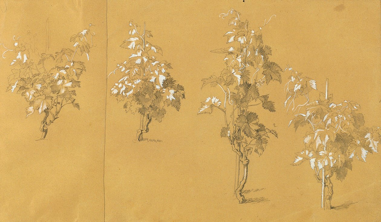 Weinstock, Estudio para "Hermann y Dorothea en el viñedo" de Johann Peter Krafft