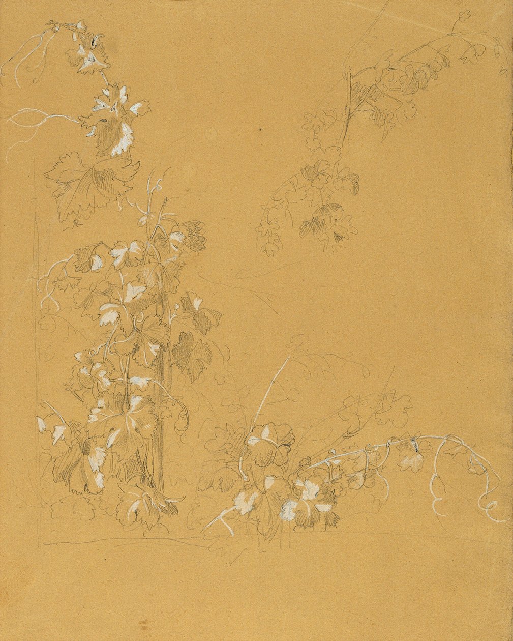 Weinstock, Estudio para "Hermann y Dorothea en el viñedo" de Johann Peter Krafft