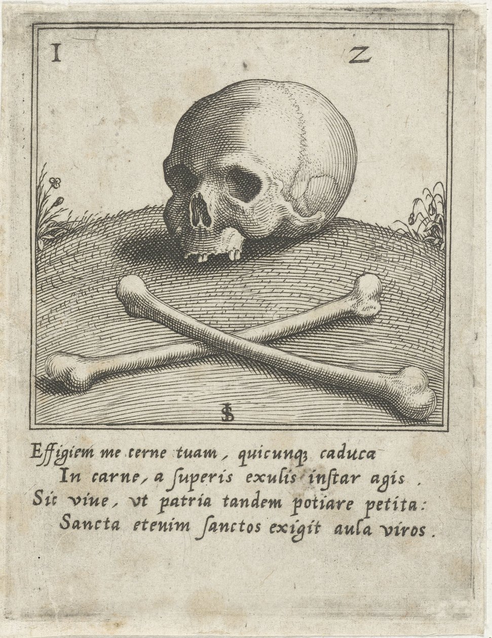 Representación de Vanitas con una calavera y dos huesos de Johann Sadeler (I)