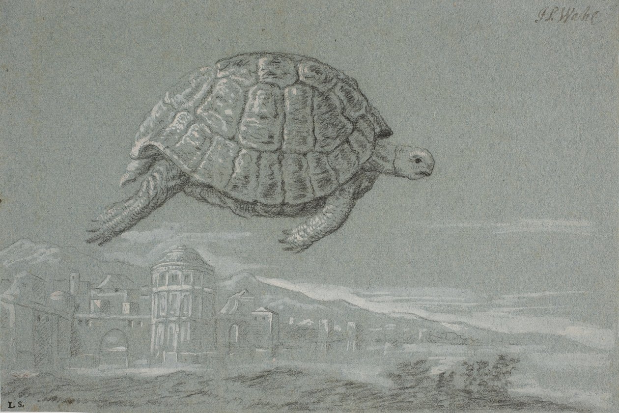 Estudio de una tortuga y vista de una ciudad fortificada junto al mar (Venecia) de Johann Salomon Wahl