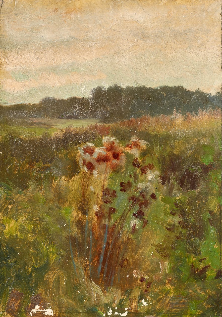 Paisaje en Baja Austria de Johann  Till der Jüngere