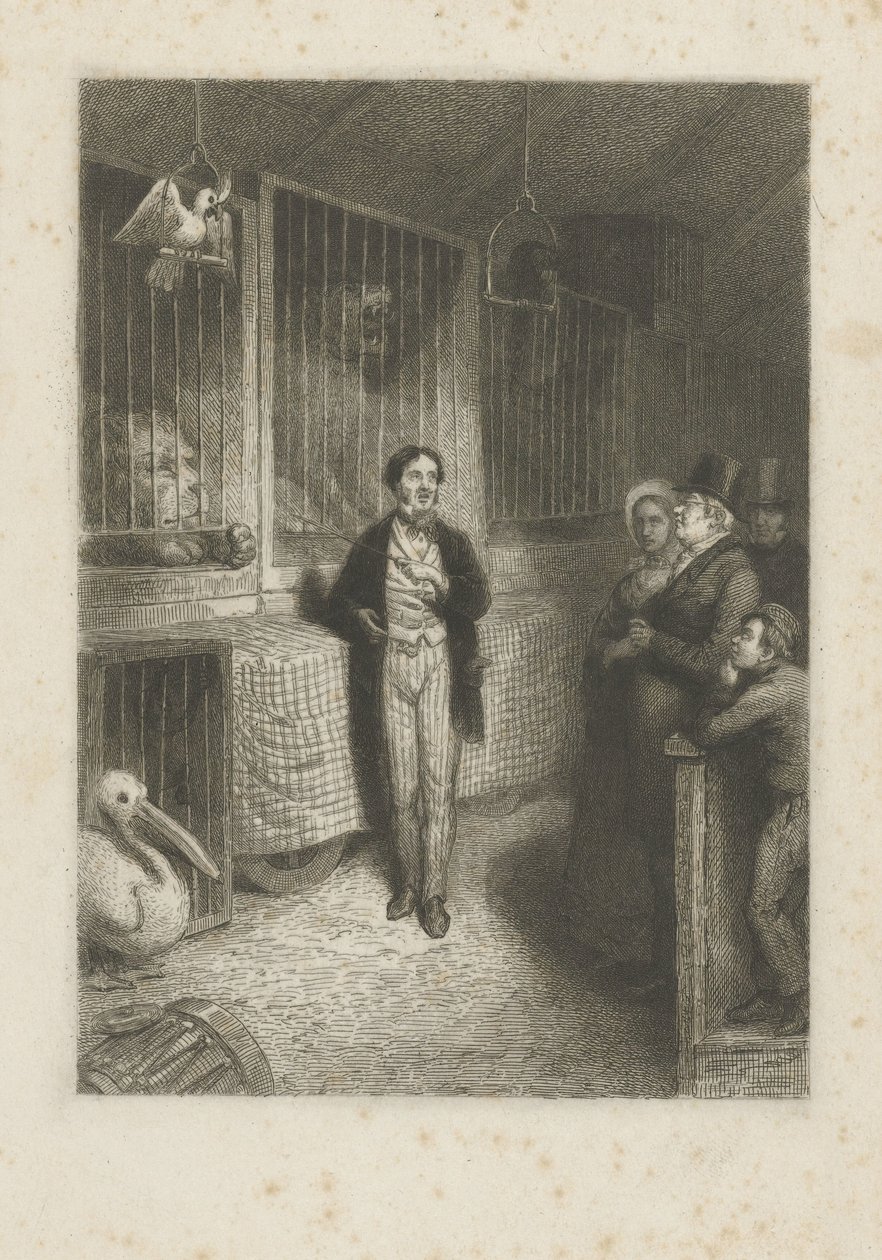 Observar a los animales de Johann Wilhelm Kaiser (I)