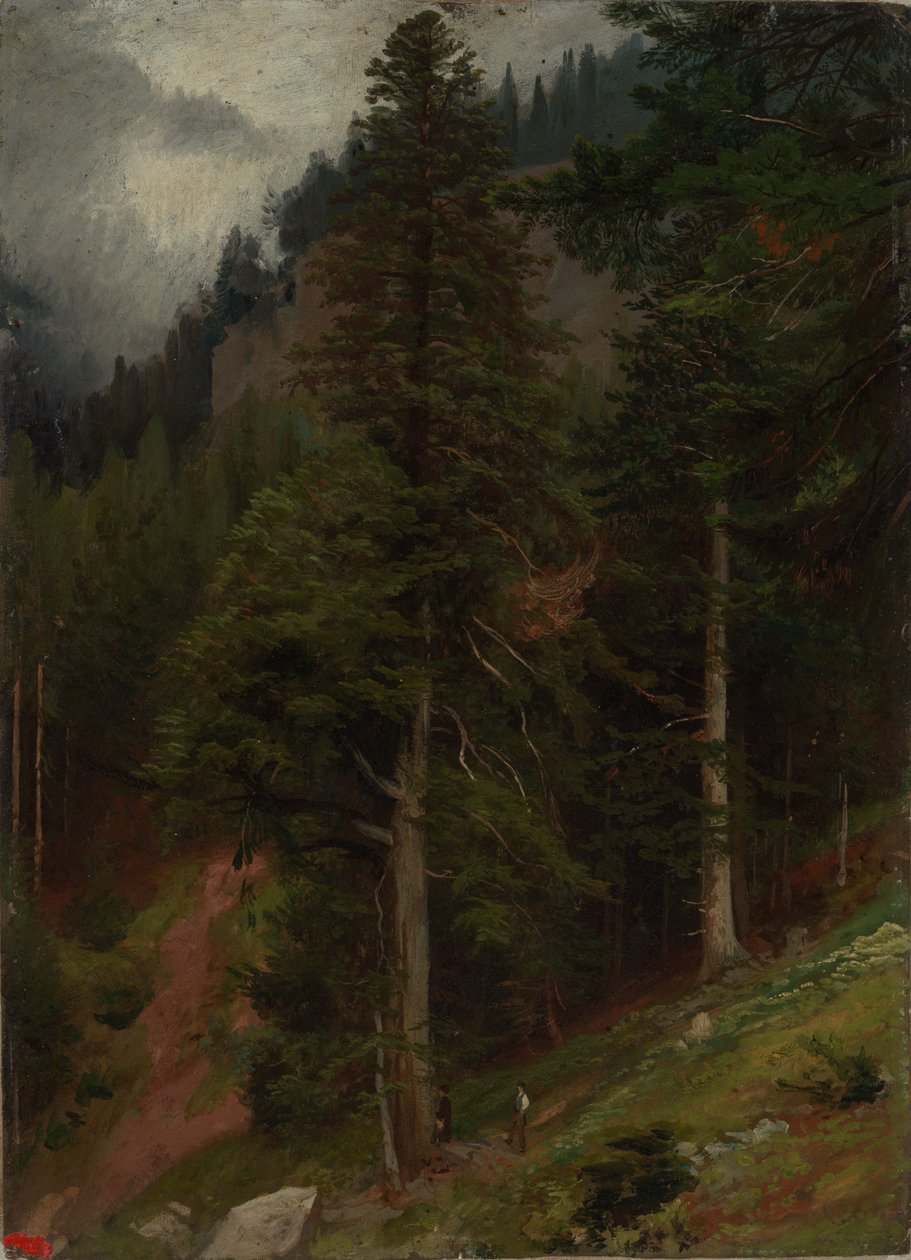 Pendiente en el bosque de abetos de Johann Wilhelm Schirmer