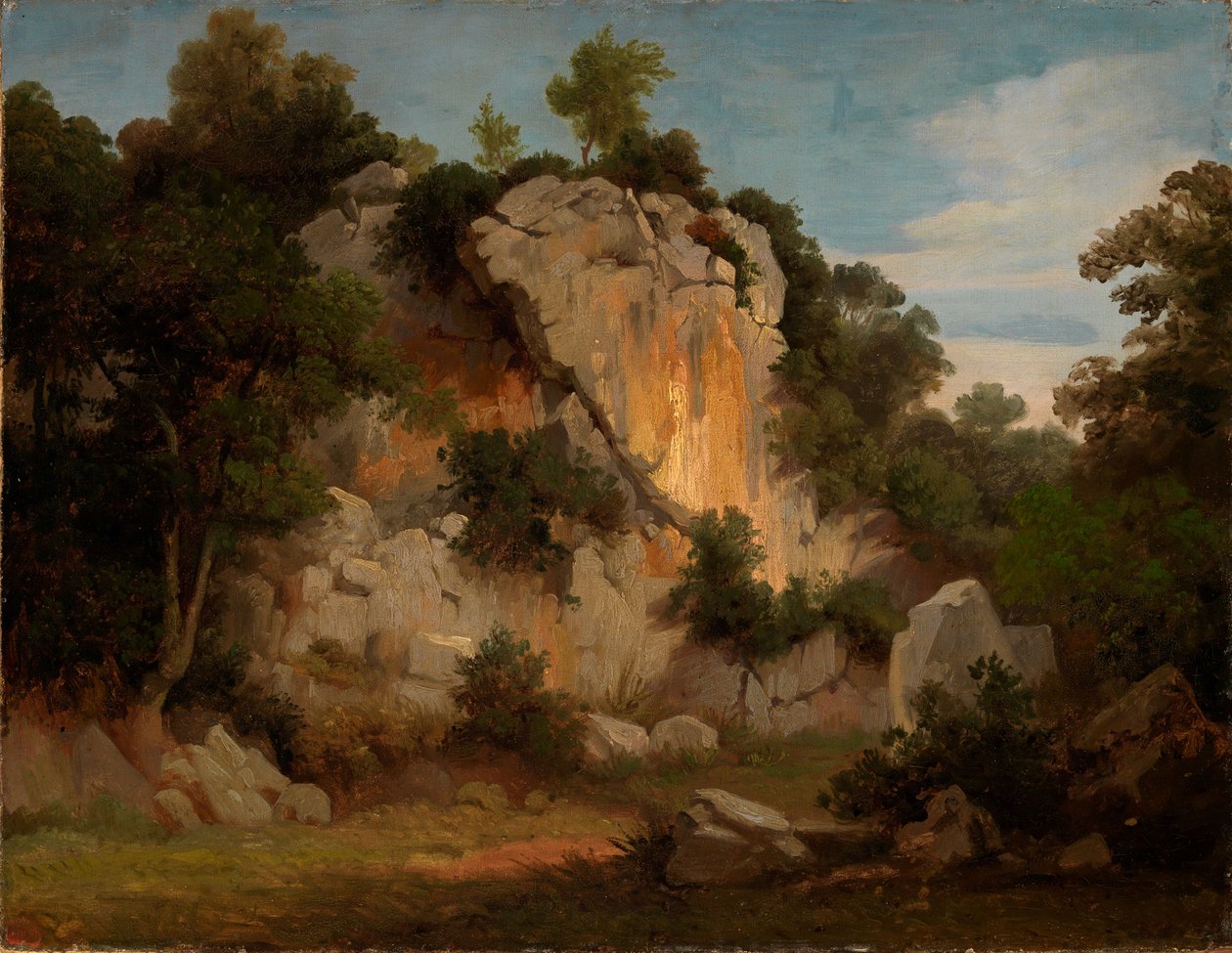 Pared rocosa con árboles y arbustos de Johann Wilhelm Schirmer