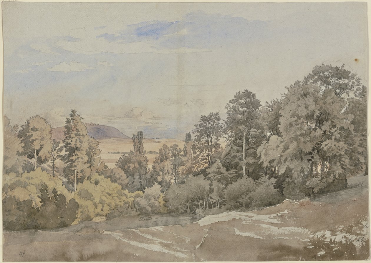 Bosque con vista lejana de Johann Wilhelm Schirmer