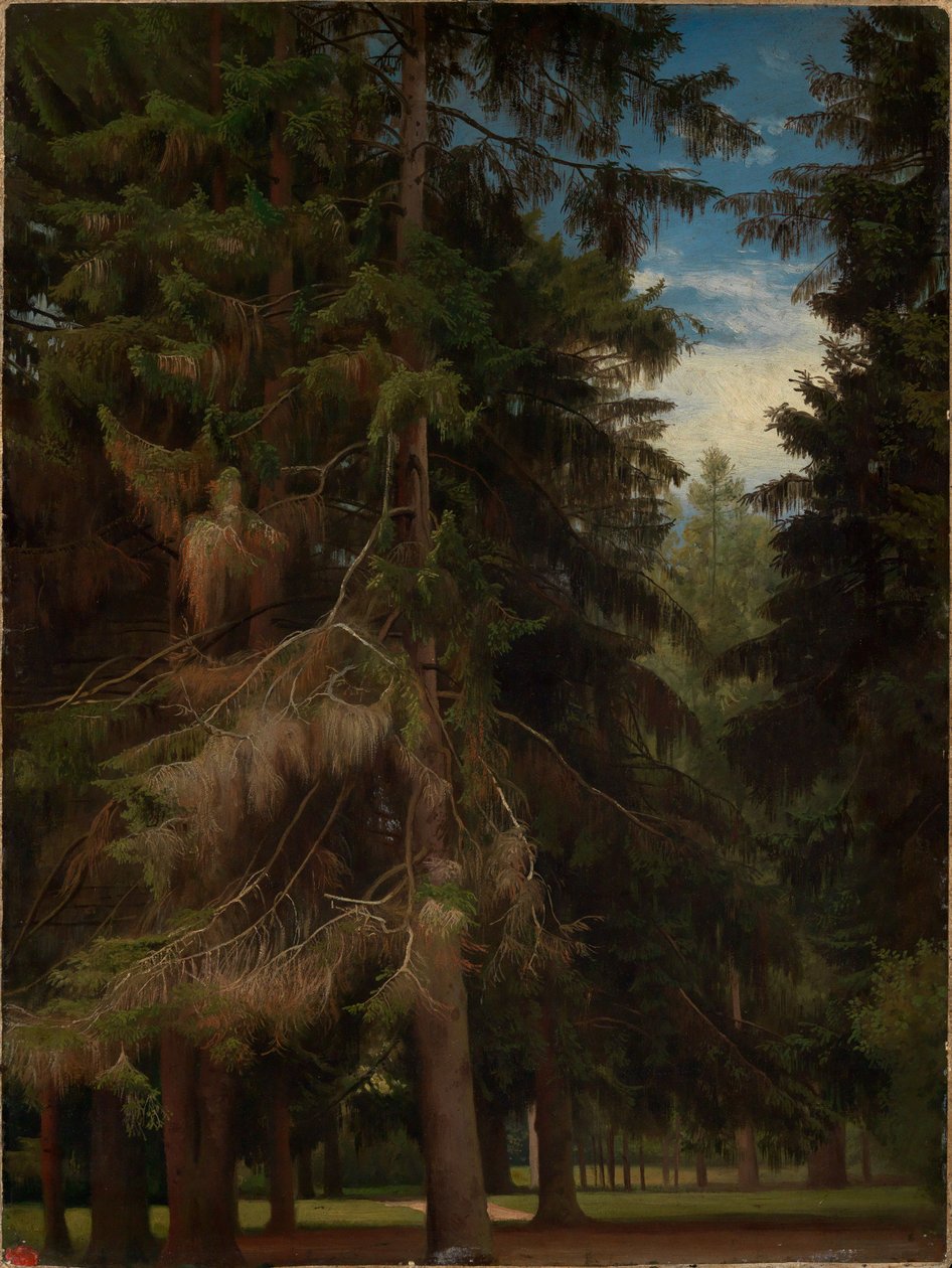 Claro en el bosque de abetos de Johann Wilhelm Schirmer