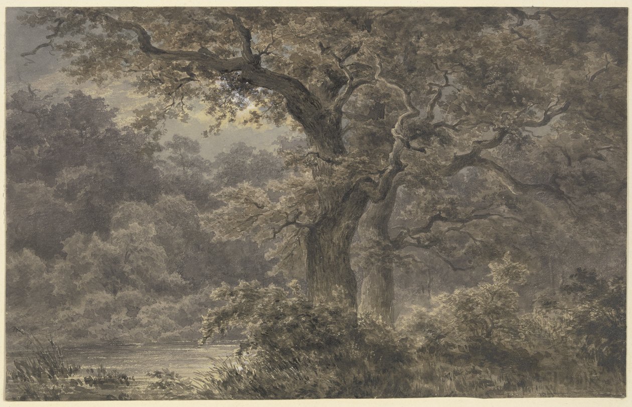 Robles en el bosque de Johann Wilhelm Schirmer