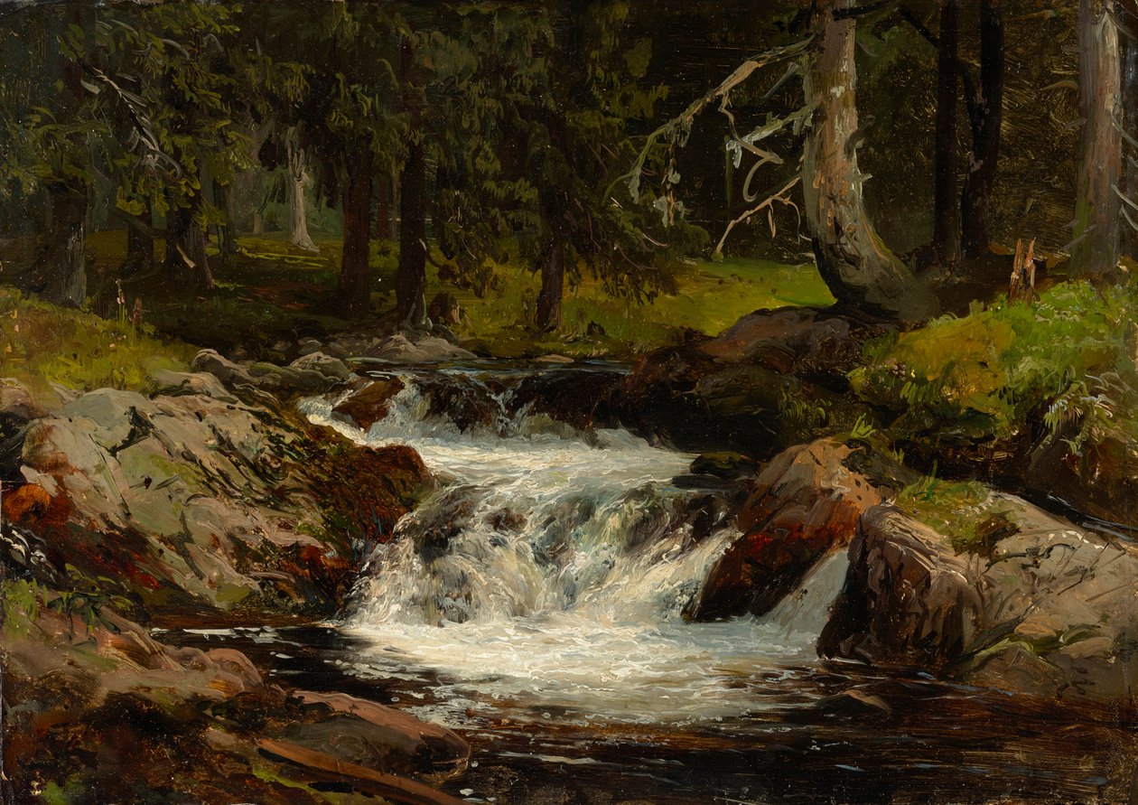 Arroyo del bosque de Johann Wilhelm Schirmer