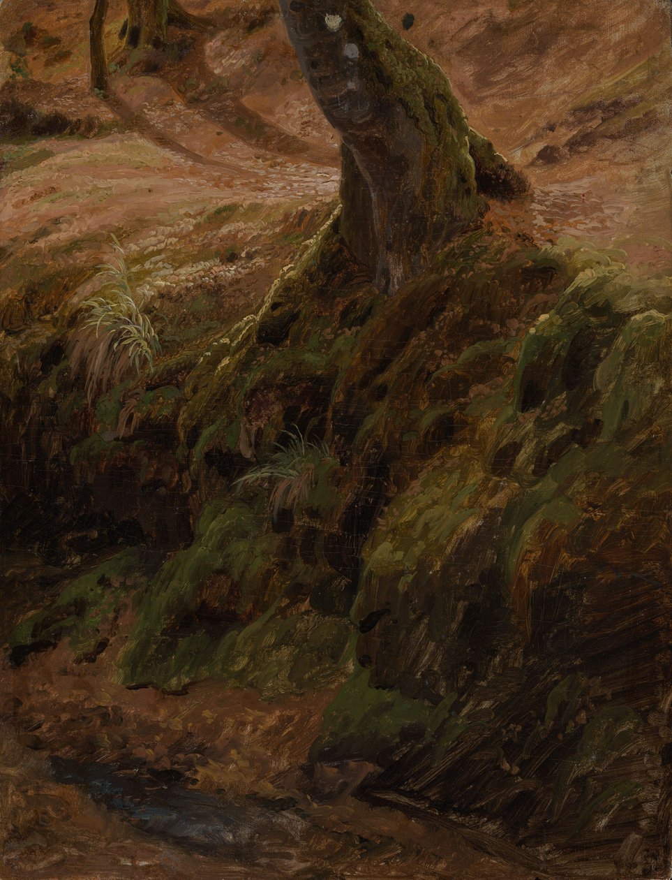 Talud forestal con un tronco de Johann Wilhelm Schirmer