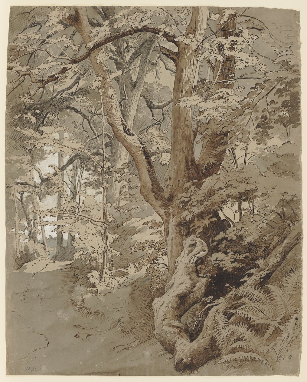Escena de bosque con un roble y helechos de Johann Wilhelm Schirmer