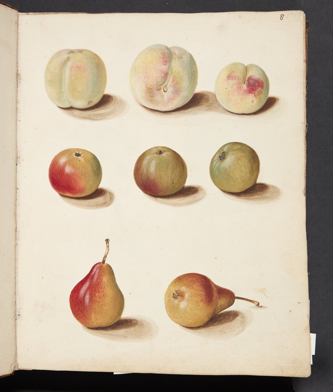 Estudio de durazno, manzana y pera de Johanna Fosie