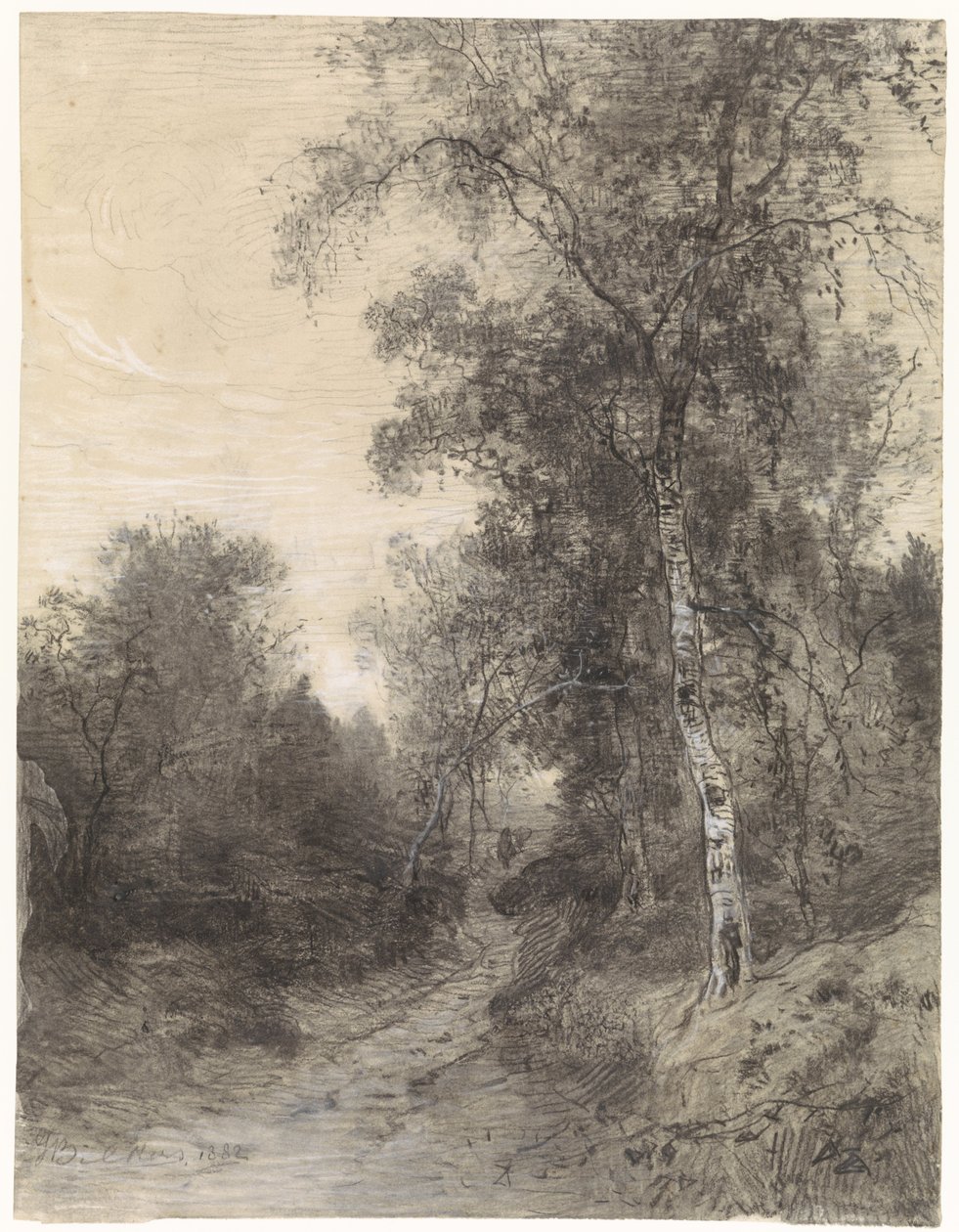 Vista en el Bosque de Johannes Warnardus Bilders