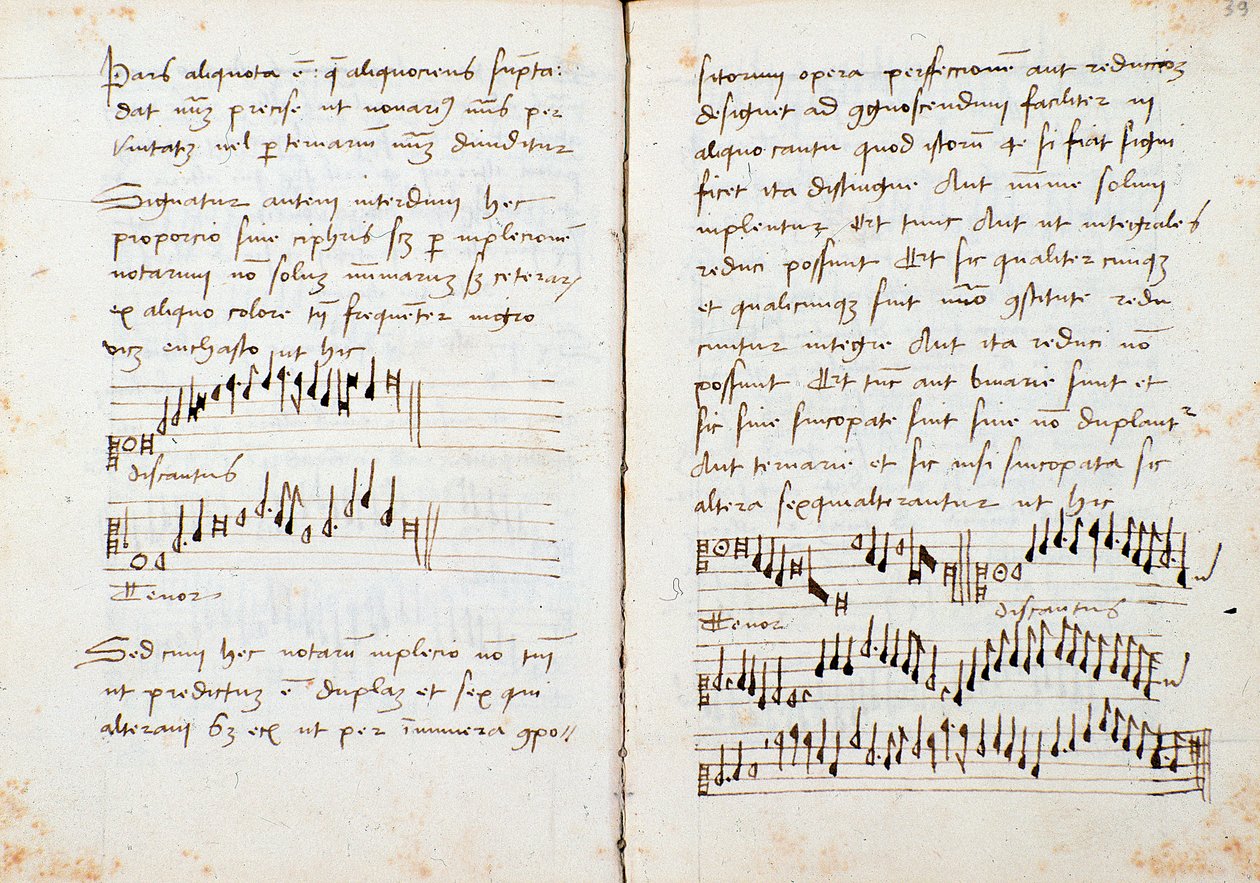 Página de un libro de teoría musical de Johannes Tinctoris de Johannes (c.1435 1511) Tinctoris