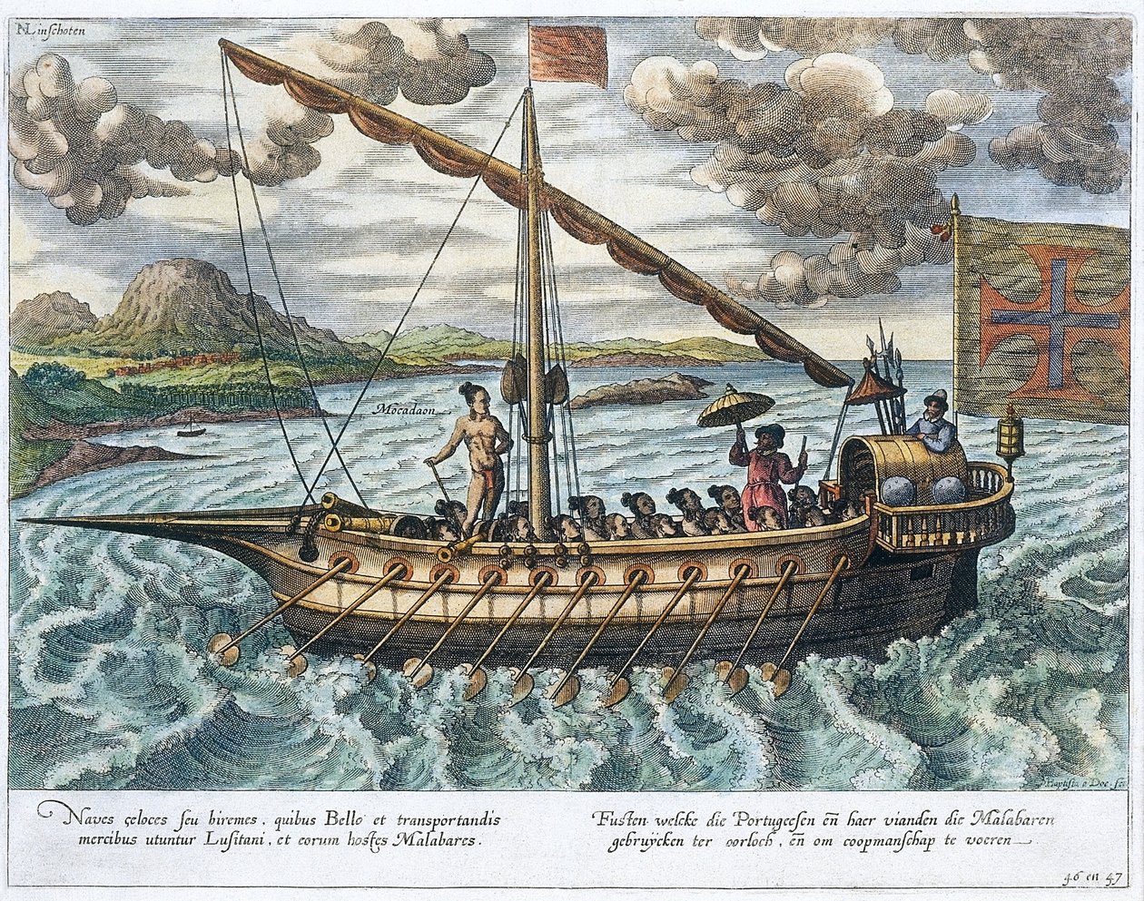 Fusta, ilustración de 