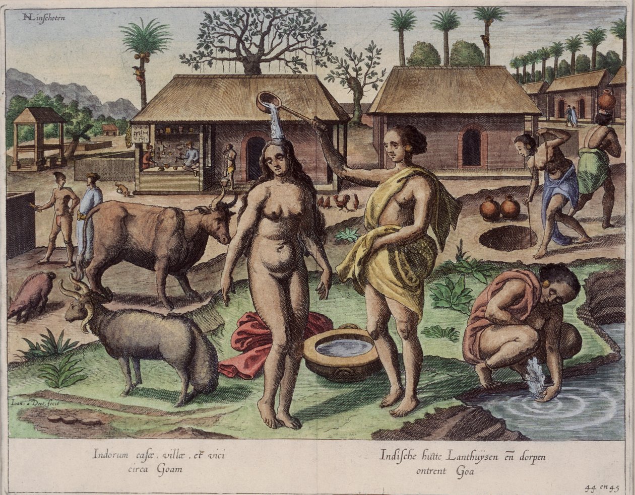Vida en Goa, ilustración de 