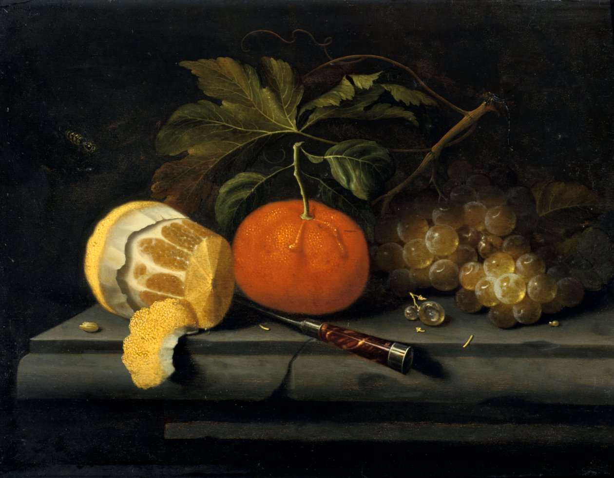 Frutas en una mesa de piedra, c1653-1659 de Johannes Borman