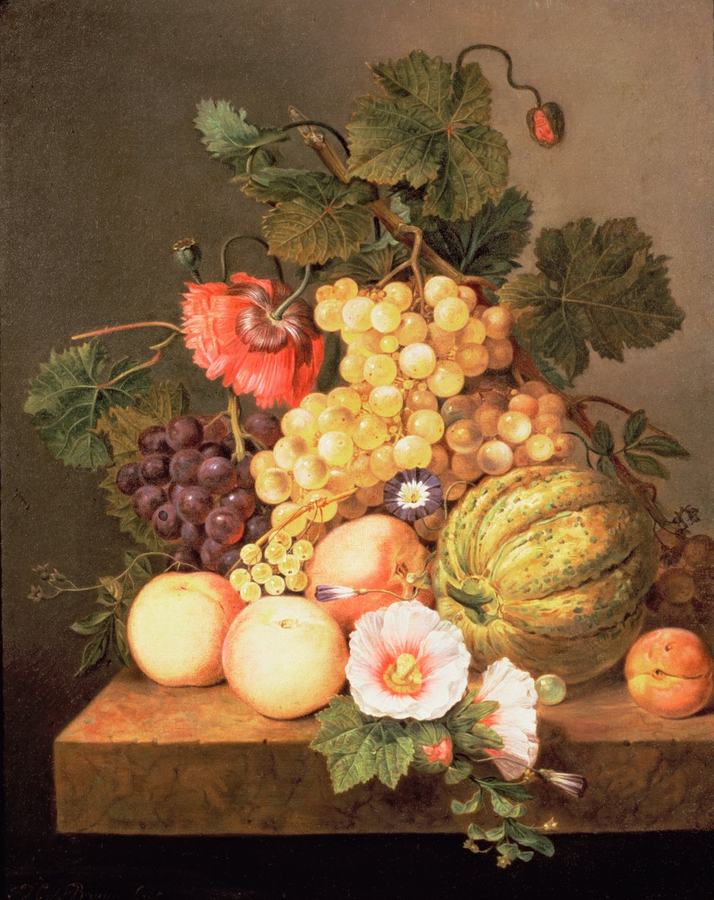 Naturaleza muerta con frutas de Johannes Cornelis Bruyn