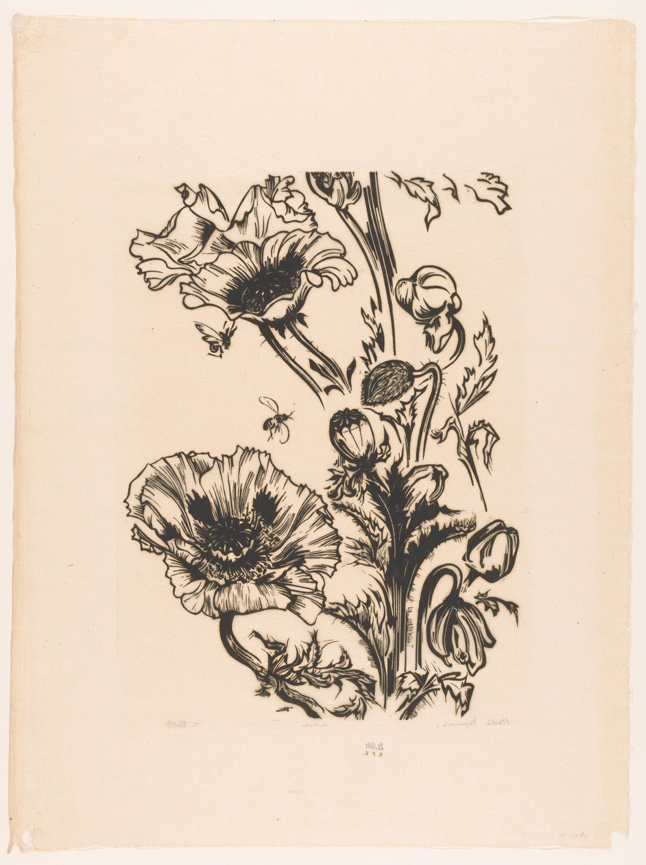 Studie papavers (título original del objeto) de Johannes Frederik Engelbert ten Klooster (signed by artist)