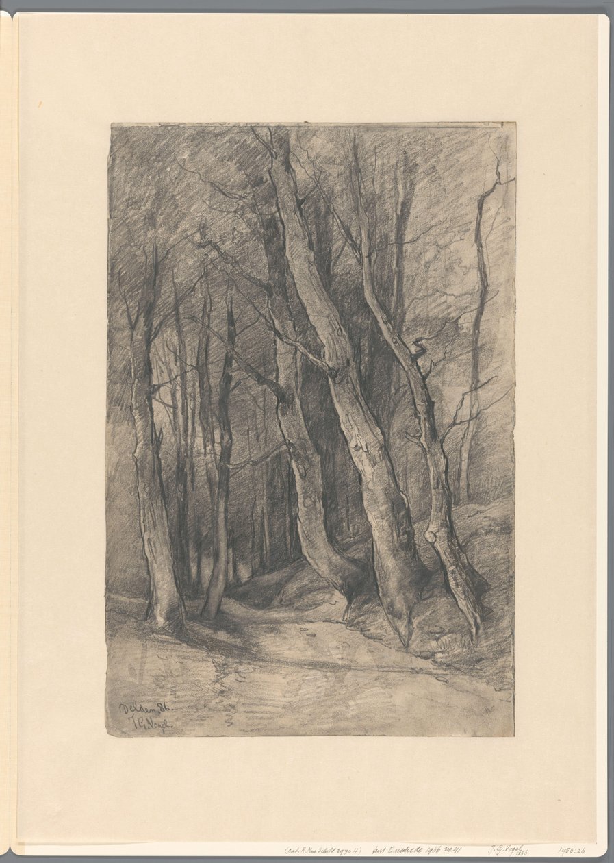 Paisaje forestal cerca de Delden de Johannes Gijsbert Vogel