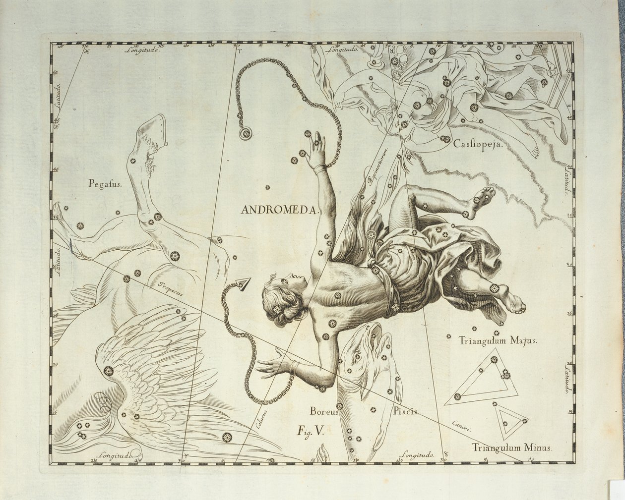 Constelación boreal de Andrómeda, grabado del atlas celeste Firmamentum Sobiescianum sive Uronographia, de Johann Hevelius (1611-1687), Gdansk. de Johannes Hevelius