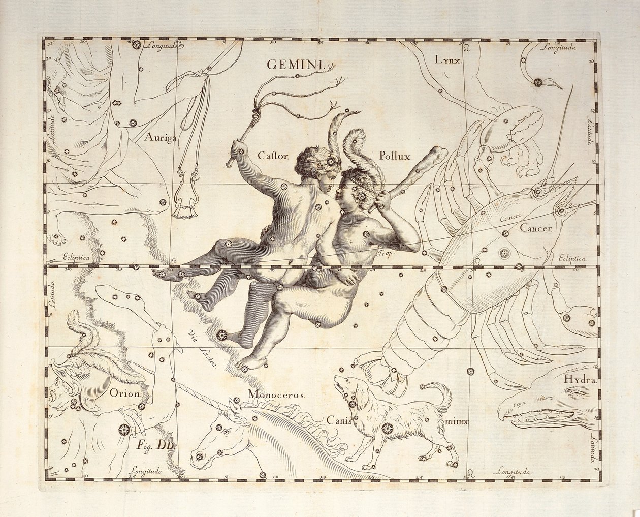 Constelación de Géminis, grabado del atlas celeste Firmamentum Sobiescianum sive Uronographia, de Johann Hevelius (1611-1687), Gdansk. de Johannes Hevelius