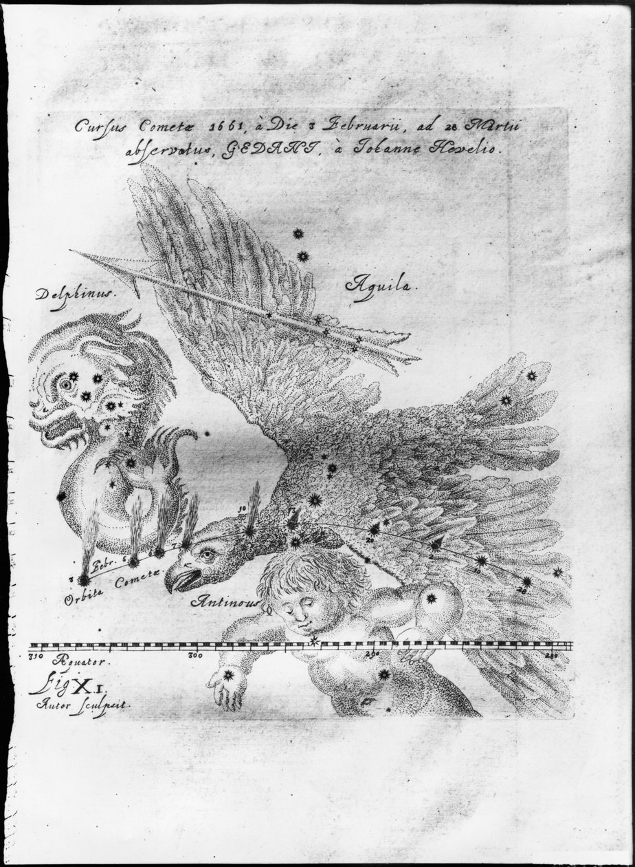El cometa descubierto y observado por Johannes Hevelius del 3 de febrero al 28 de marzo de 1661 en Gdansk de Johannes Hevelius