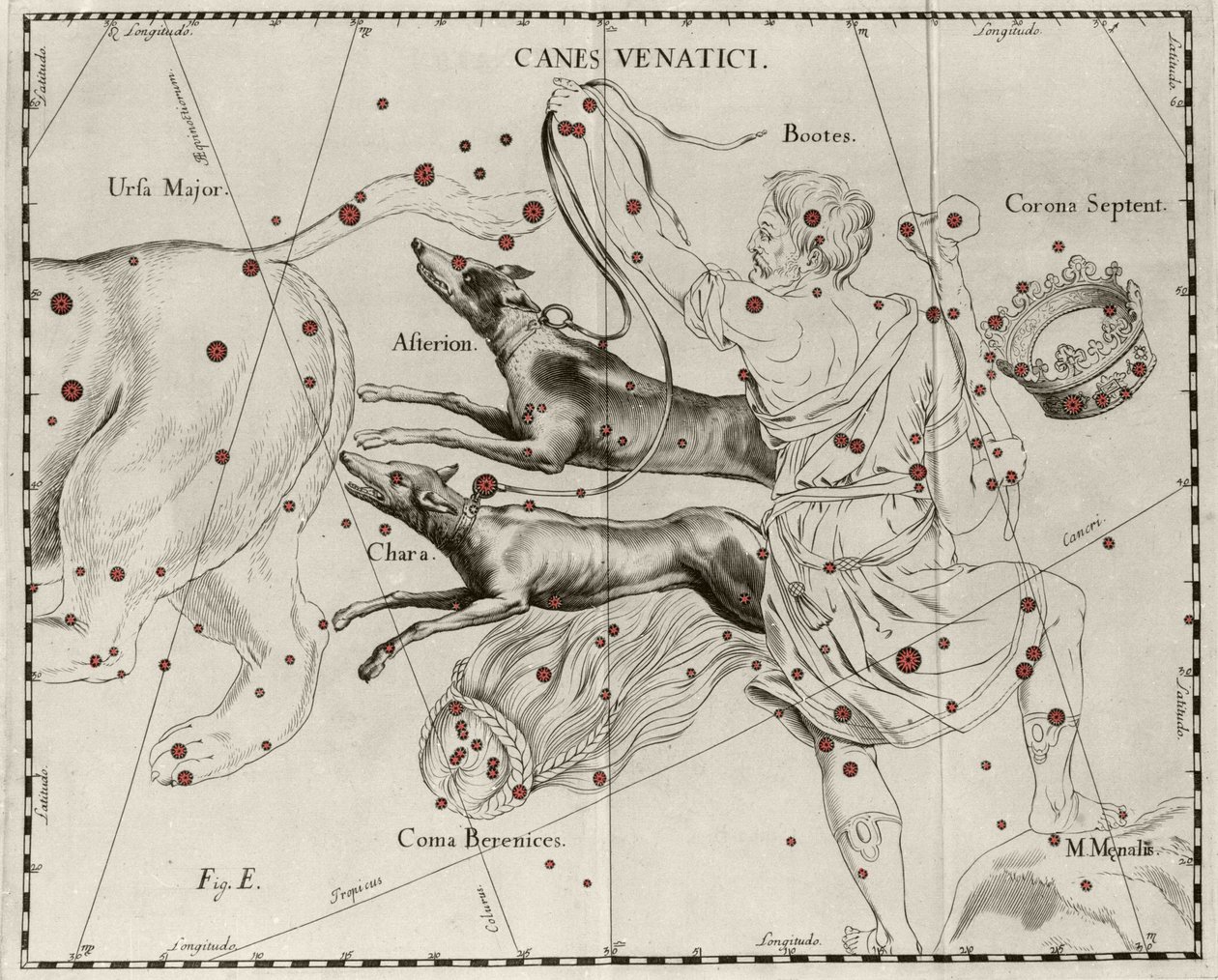 La constelación Canes Venatici, Perros de Caza. Lámina extraída de “Firmamentum Sobiescanum sive Uranographia” por Johannes Hevelius (1611-1687) de Johannes Hevelius