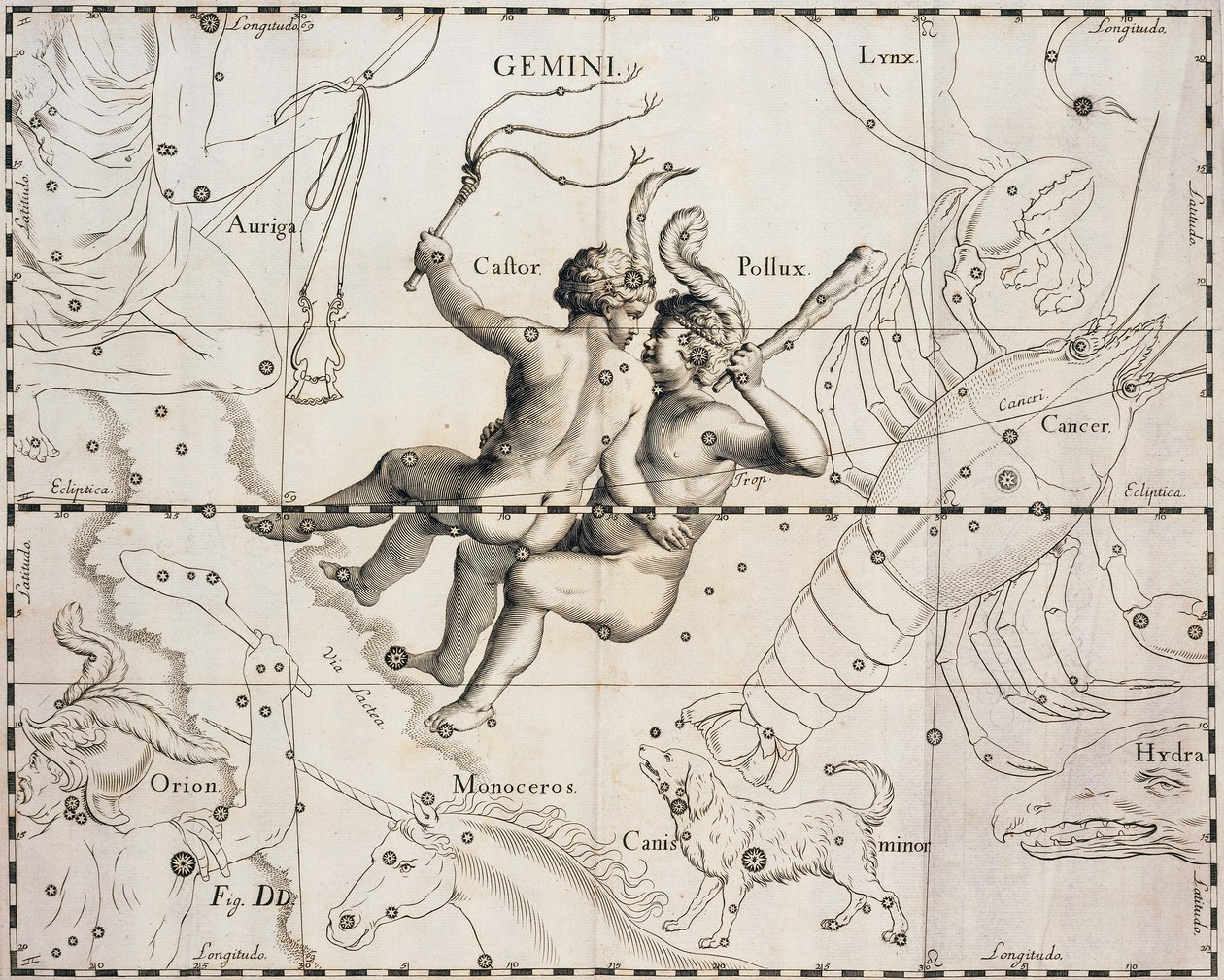 La constelación de Géminis, ilustración de Firmamentum Sobiescianum sive Uranographia, por Johann Hevelius, Gdansk 1690 de Johannes Hevelius
