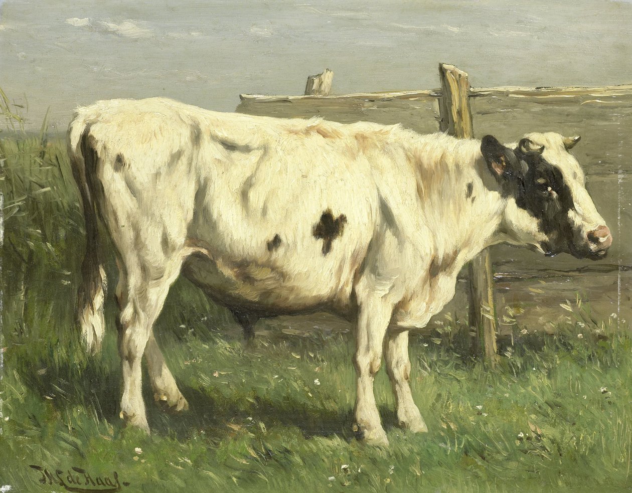 Toro joven de Johannes Hubertus Leonardus de Haas