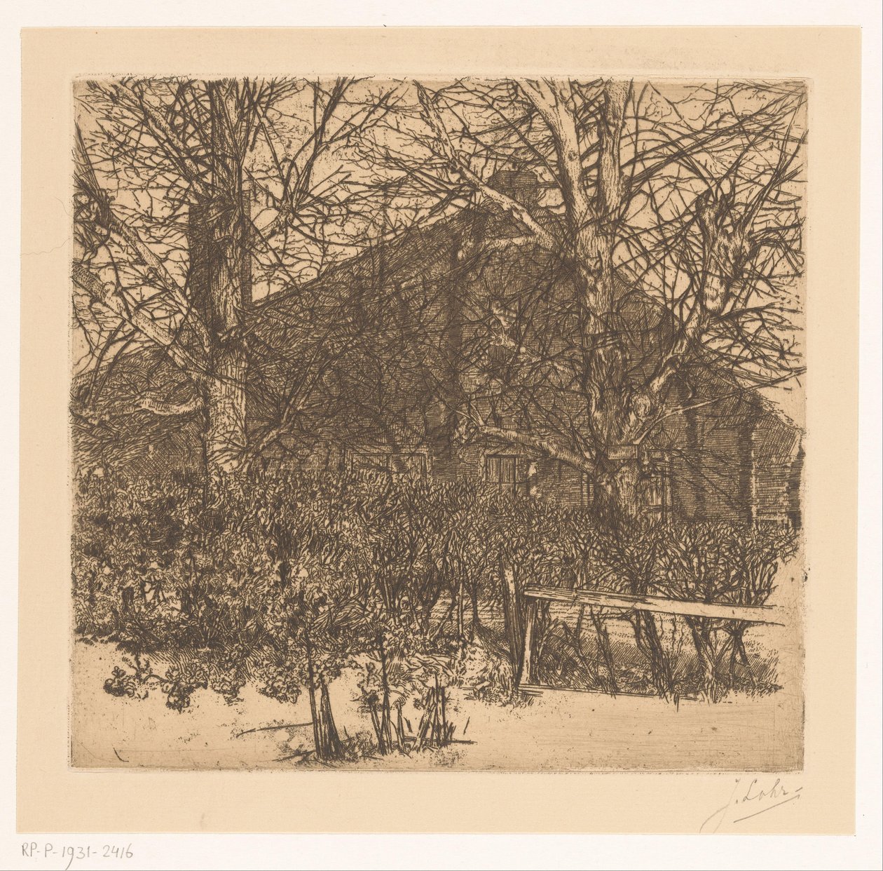 Árboles frente a la granja de Johannes Löhr
