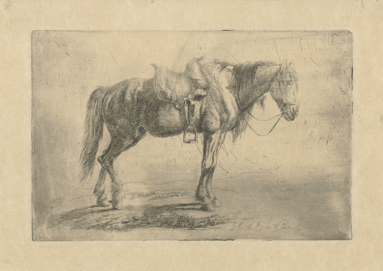 Caballo ensillado a la derecha de Johannes Mock