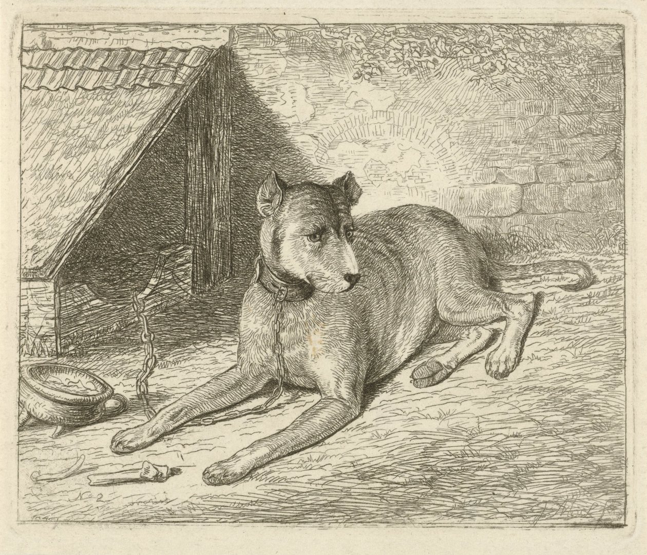 Perro en una cadena en una perrera de Johannes Mock